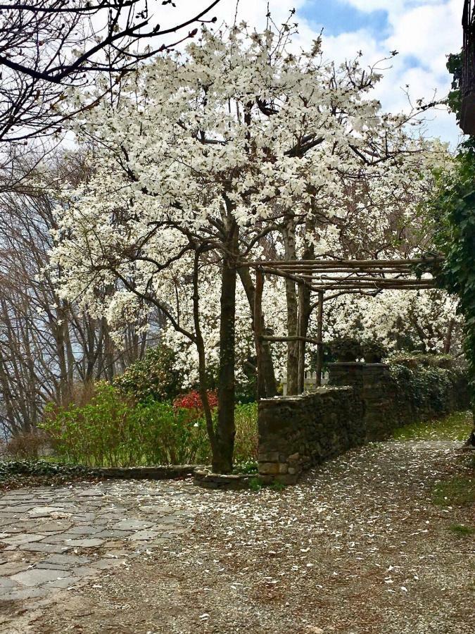 페텐나스코 Casa Cesira 아파트 외부 사진